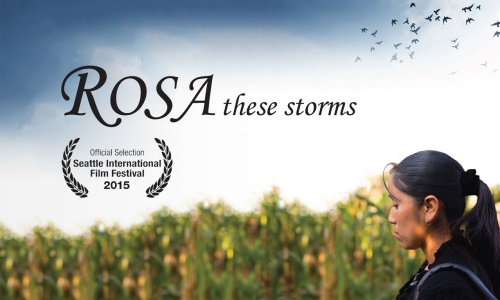 Rosa - These Storms